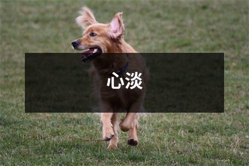 心淡