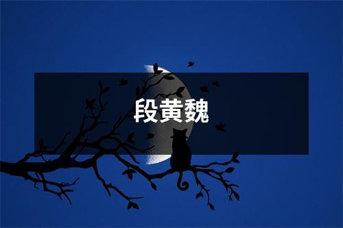 段黄魏