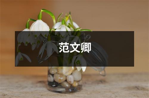 范文卿