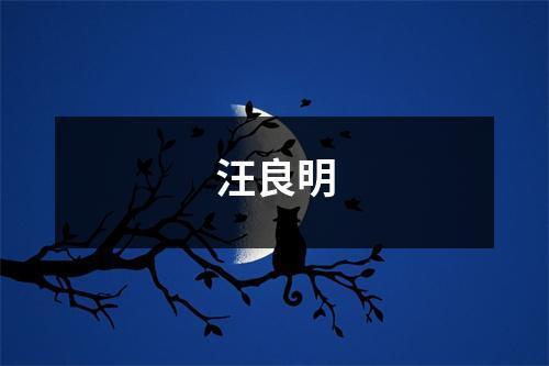 汪良明