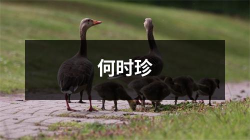 何时珍