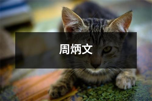 周炳文