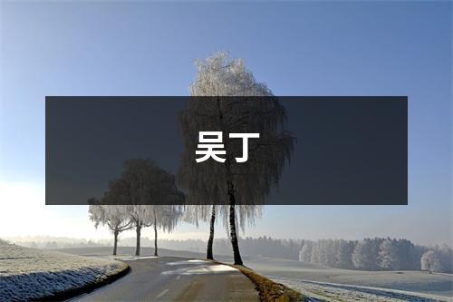 吴丁