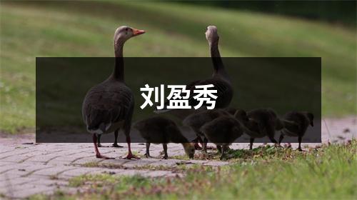 刘盈秀