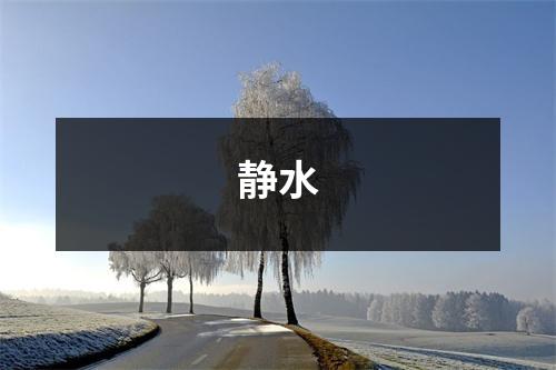 静水