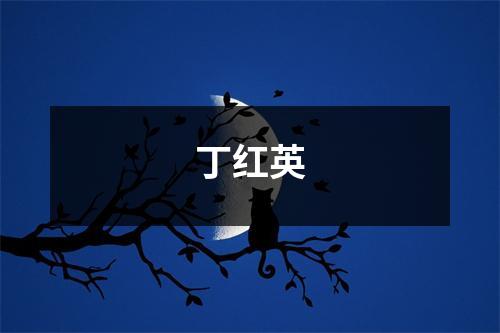 丁红英