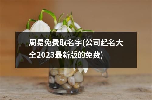 周易免费取名字(公司起名大全2023新版的免费)