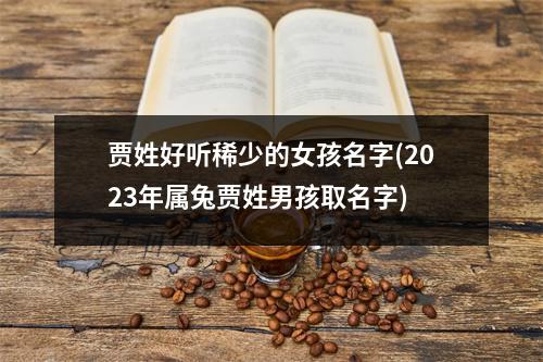 贾姓好听稀少的女孩名字(2023年属兔贾姓男孩取名字)