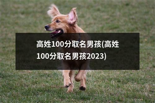 高姓100分取名男孩(高姓100分取名男孩2023)