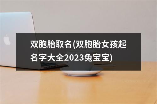 双胞胎取名(双胞胎女孩起名字大全2023兔宝宝)