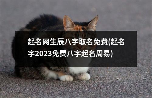 起名网生辰八字取名免费(起名字2023免费八字起名周易)