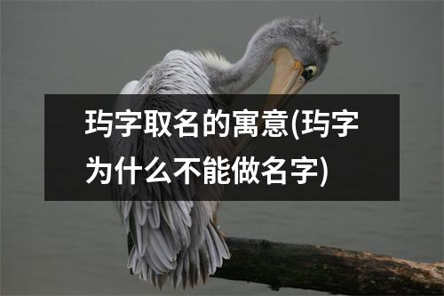 玙字取名的寓意(玙字为什么不能做名字)