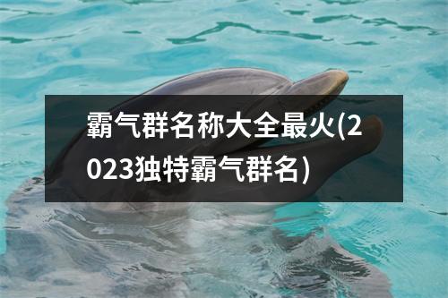 霸气群名称大全火(2023独特霸气群名)