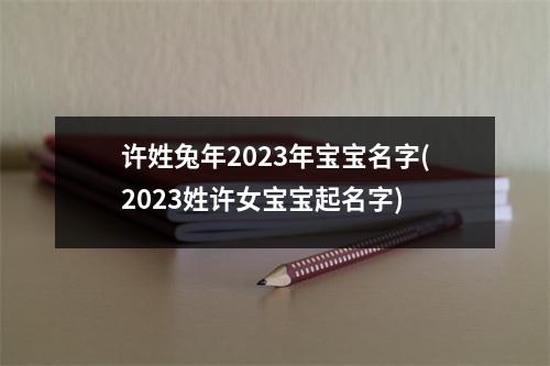 许姓兔年2023年宝宝名字(2023姓许女宝宝起名字)