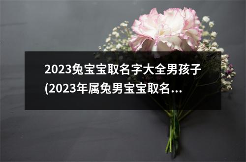 2023兔宝宝取名字大全男孩子(2023年属兔男宝宝取名)