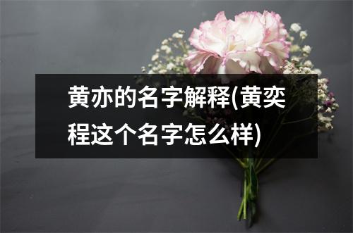 黄亦的名字解释(黄奕程这个名字怎么样)