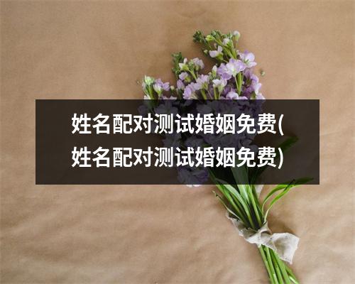 姓名配对测试婚姻免费(姓名配对测试婚姻免费)