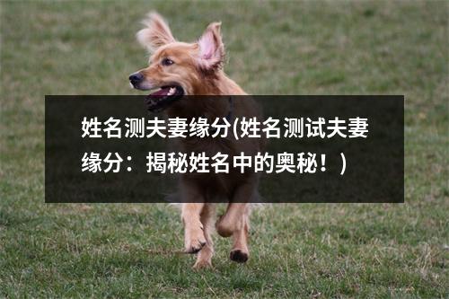 姓名测夫妻缘分(姓名测试夫妻缘分：揭秘姓名中的奥秘！)