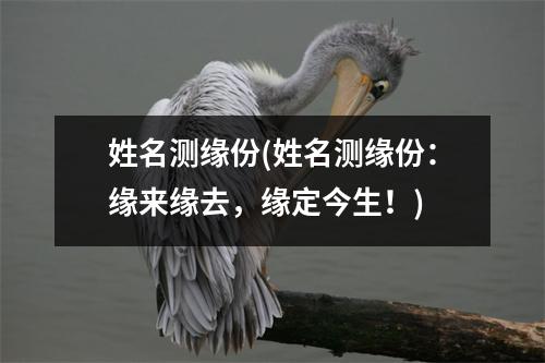 姓名测缘份(姓名测缘份：缘来缘去，缘定今生！)