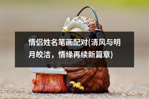 情侣姓名笔画配对(清风与明月皎洁，情缘再续新篇章)