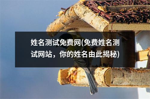 姓名测试免费网(免费姓名测试网站，你的姓名由此揭秘)