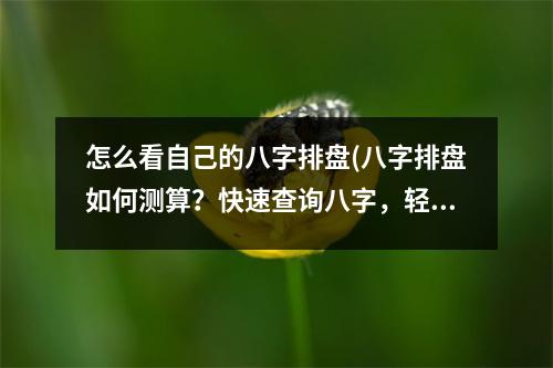 怎么看自己的八字排盘(八字排盘如何测算？快速查询八字，轻松预测未来！)