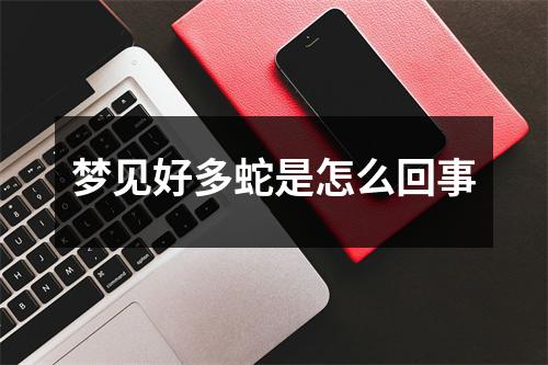 梦见好多蛇是怎么回事