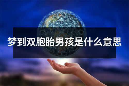 梦到双胞胎男孩是什么意思