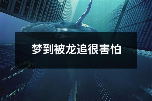 梦到被龙追很害怕