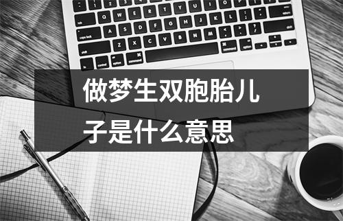 做梦生双胞胎儿子是什么意思