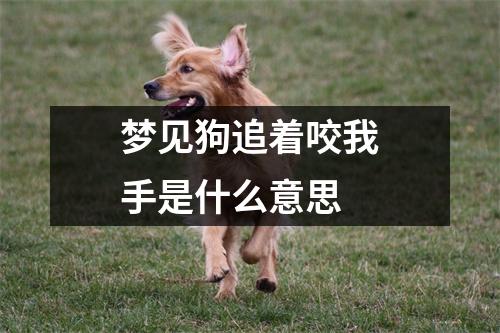 梦见狗追着咬我手是什么意思