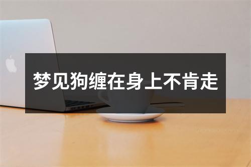 梦见狗缠在身上不肯走