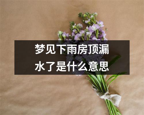 梦见下雨房顶漏水了是什么意思