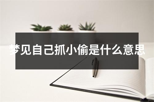 梦见自己抓小偷是什么意思