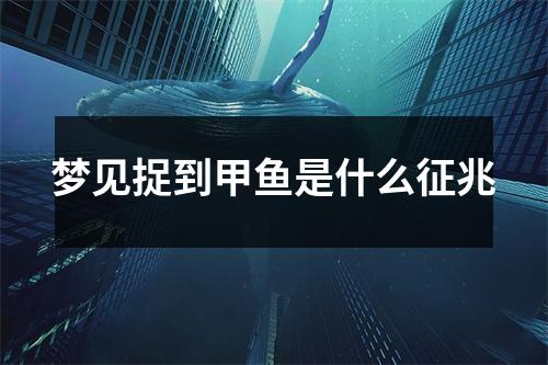 梦见捉到甲鱼是什么征兆