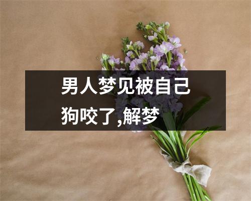 男人梦见被自己狗咬了,解梦