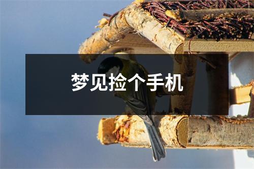 梦见捡个手机