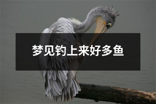 梦见钓上来好多鱼