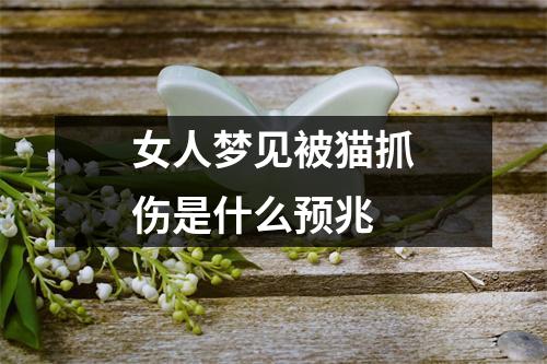 女人梦见被猫抓伤是什么预兆