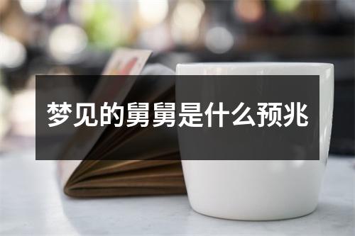 梦见的舅舅是什么预兆