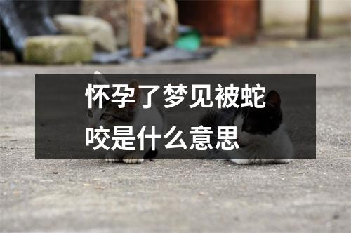 怀孕了梦见被蛇咬是什么意思