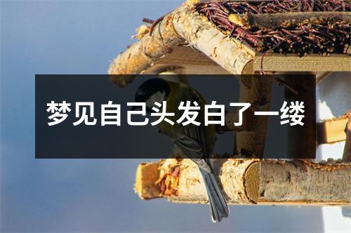 梦见自己头发白了一缕