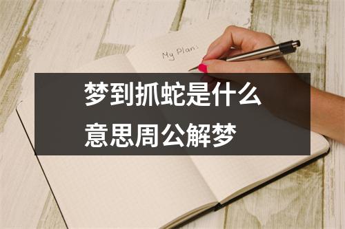 梦到抓蛇是什么意思周公解梦