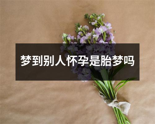 梦到别人怀孕是胎梦吗