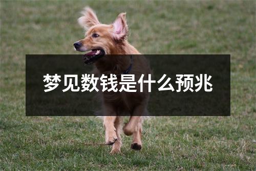 梦见数钱是什么预兆