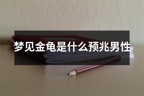 梦见金龟是什么预兆男性