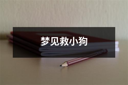 梦见救小狗