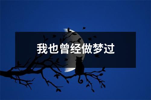 我也曾经做梦过