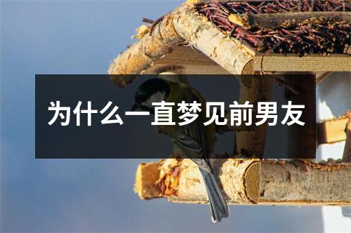 为什么一直梦见前男友