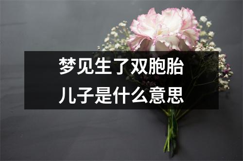 梦见生了双胞胎儿子是什么意思